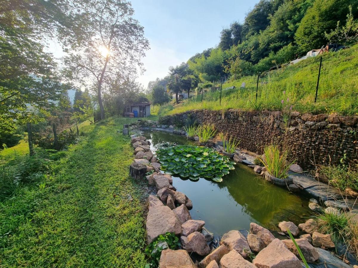 La Nave B&B Monteggio Buitenkant foto