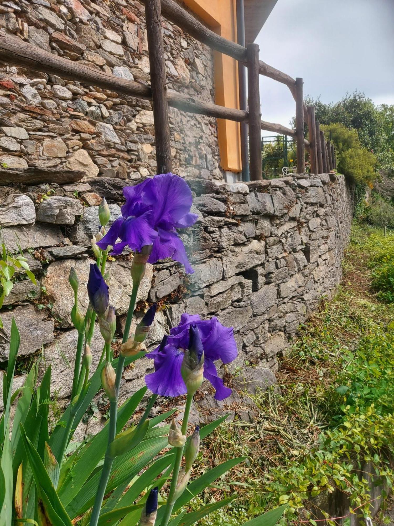 La Nave B&B Monteggio Buitenkant foto